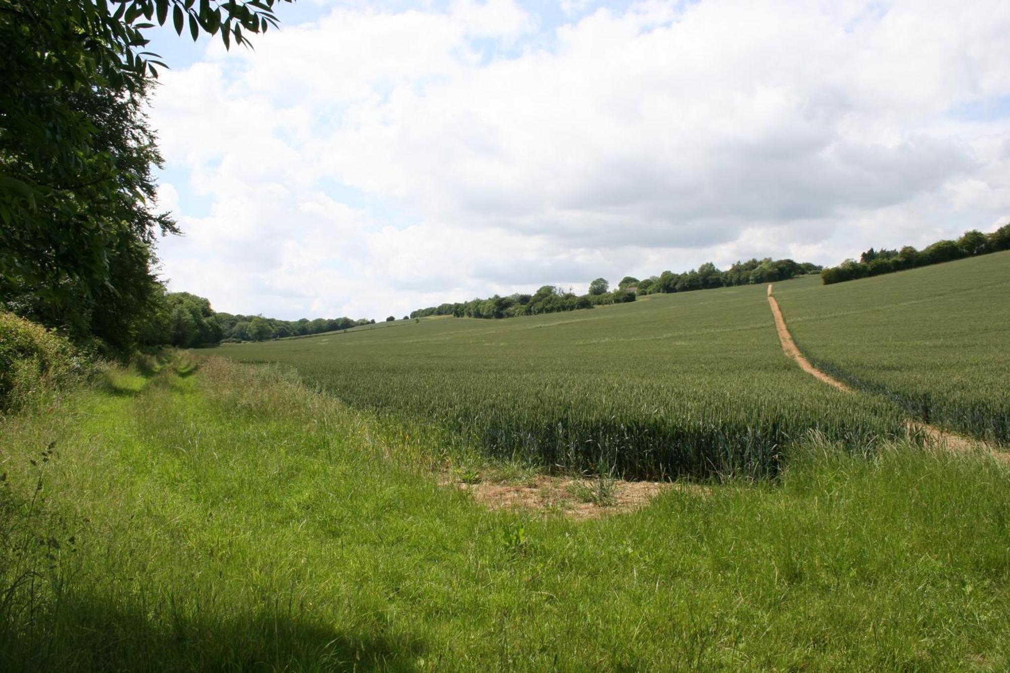 Five Cottages In Aonb And A Hobbit House! Canterbury Luaran gambar